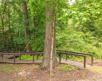 The Lost Compass - Sautee Nacoochee - Outdoor view