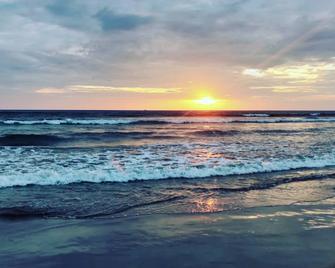 Morjim Sunset Hotel - Morjim - Playa