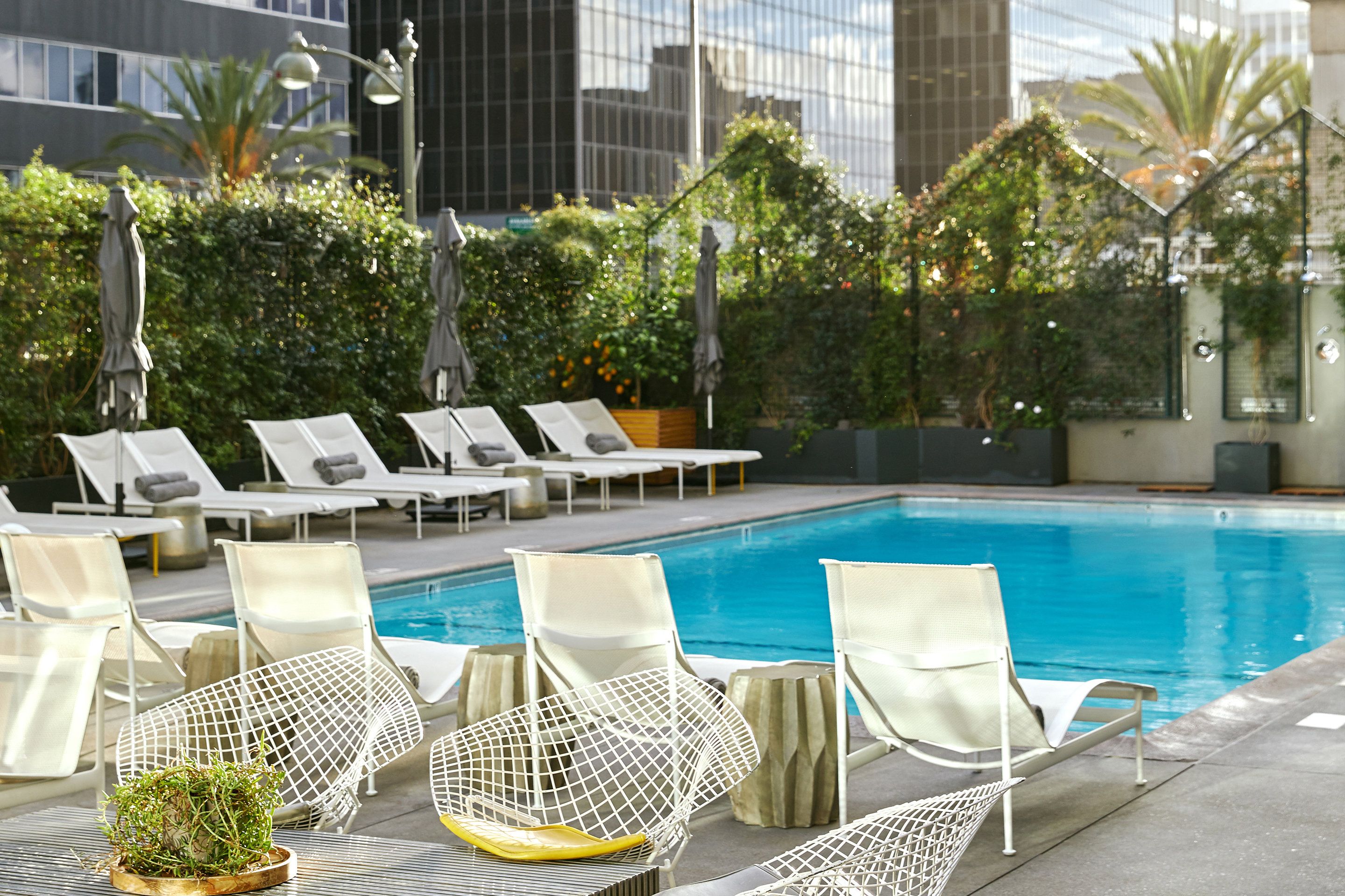 The Line Hotel - Los Angeles - Pool