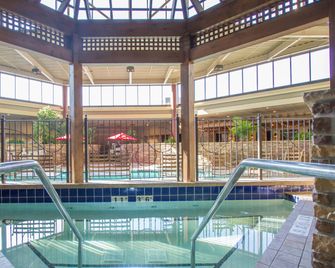 Holiday Inn Blmgtn Arpt South - Mall Area By IHG - Bloomington - Pool