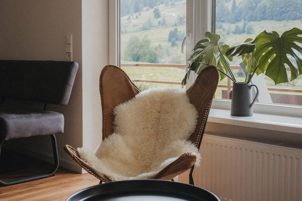 Schwarzwald Loft Panoramablick Menzenschwand - Sankt Blasien - Зручності у номері