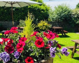 Middle House - Leyburn - Pátio