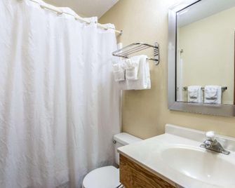 Econo Lodge Ithaca Airport - Ithaca - Bedroom