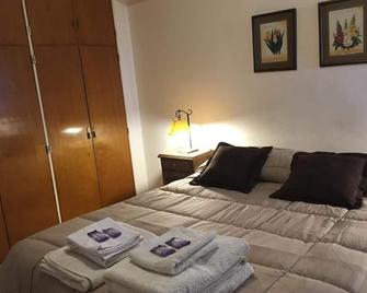 Mendoza pleno centro - Mendoza - Bedroom