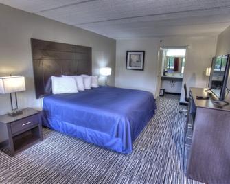 Budgetel Inn and Suites Plus Helen - Helen - Bedroom