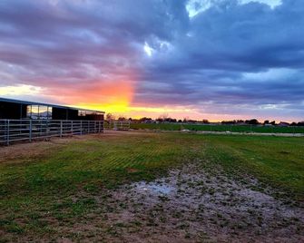 Guest House with horse privilege's, in the country & beautiful neighborhood. - Queen Creek - Outdoors view