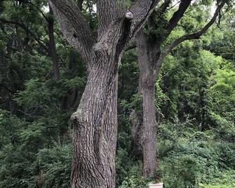 Retreat-Like Setting - Trumansburg