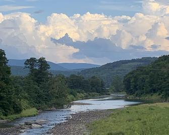 Meadowlark, a delightful and unique Catskill Mountain Cottage. Extraordinary - Roxbury - Outdoors view