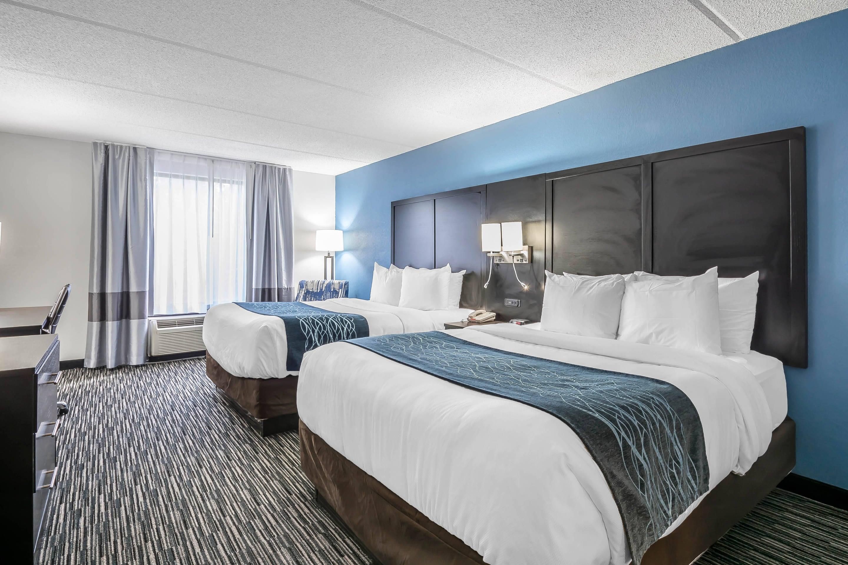 Comfort Inn University - Gainesville - Habitación