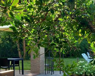 Aura Dimore Ad Arquà Petrarca - Arquà Petrarca - Patio