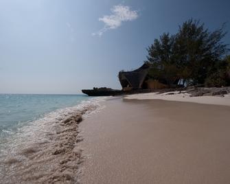 Chumbe Island Coral Park - Zanzibar - Beach