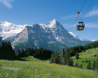 Alpinhotel Bort - Grindelwald
