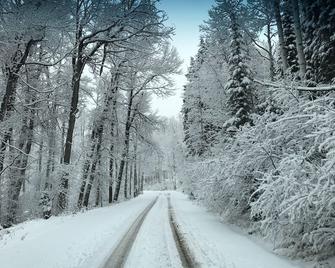 High Country Cabin at the Flat Tops Ranch - New Castle - Servicio de la propiedad