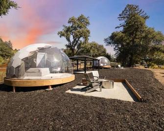 Hilltop Vineyard Dome Glamping - Felton - Patio