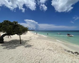 Swiss Paradise Aruba - Noord - Beach