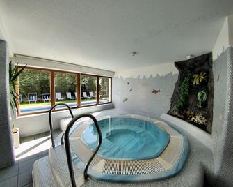 Hotel Montana - Arzl im Pitztal - Pool