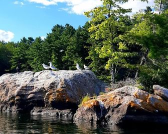 Le Temps Perdu: 88 Acre Wilderness Park between Historic Westport and Perth - Westport