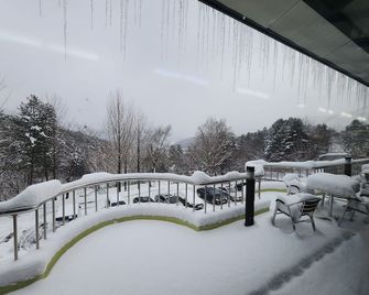 수안보 파크 호텔 - 충주 - 발코니