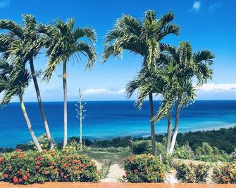 Premier Partner: Close to beach! Refreshing pool! Beautiful Ocean Views!! - Kingshill - Vista del exterior