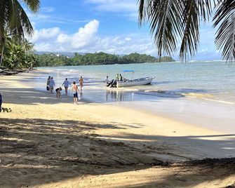 Luxury beachfront villa, 7-8 bedrooms, 14-17 sleeps, 7 bathrooms - Las Terrenas - Beach