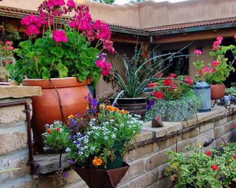 Rural appeal yet so close to town - Taos - Vista del exterior