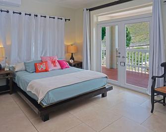 Two Sandals by the Sea Inn - B&B - Saint Thomas Island - Bedroom