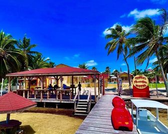 Tropical Paradise - Caye Caulker
