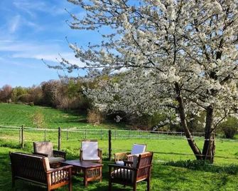 Gîtes de France - Le Domaine du Mesnil - Buchy - Patio
