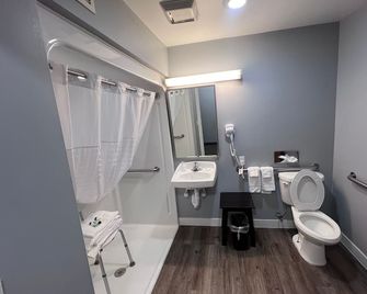 American Inn and Suites Ionia - Ionia - Bathroom