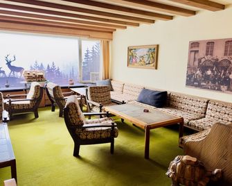 Adler-Stube - Munstertal - Sala de estar