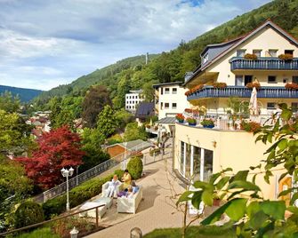 Rothfuss - Bad Wildbad - Gebäude
