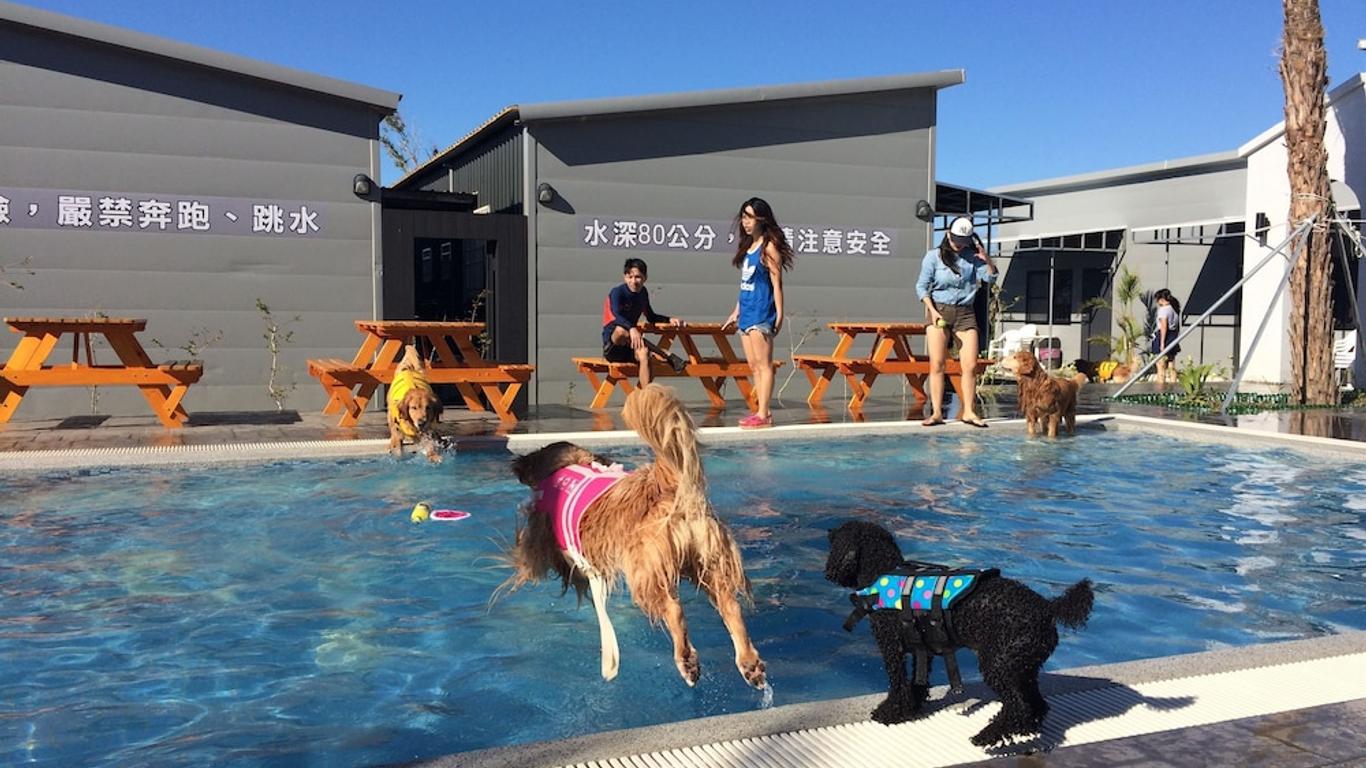 ترو لاف فيلا