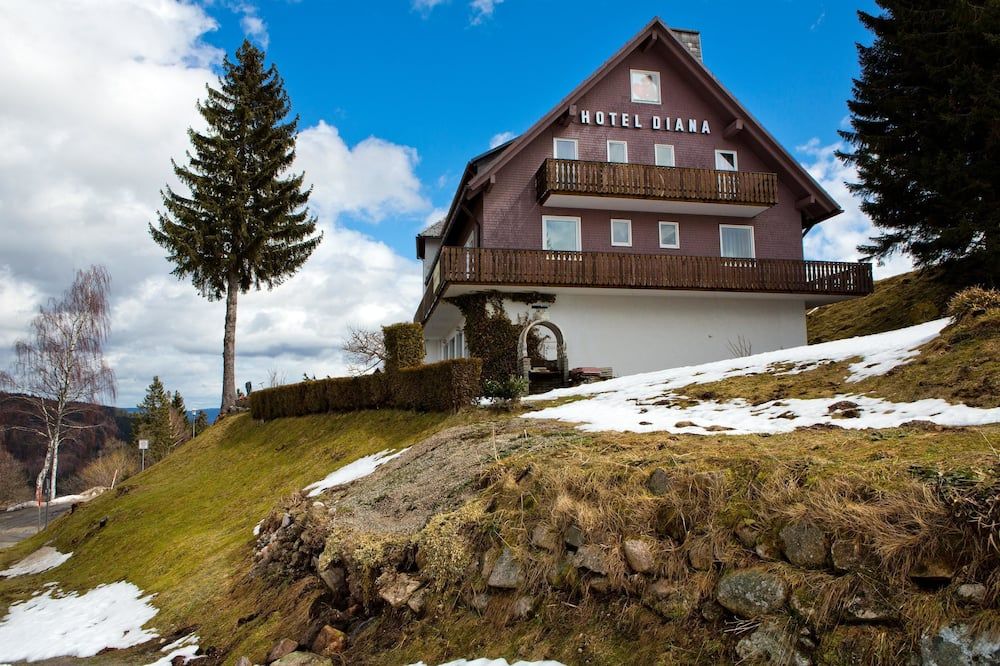 Hotel Diana - Feldberg