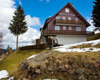 Hotel Diana - Feldberg