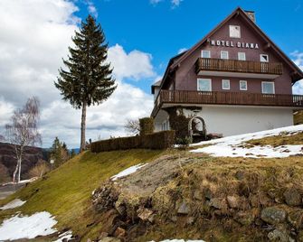 Hotel Diana - Feldberg