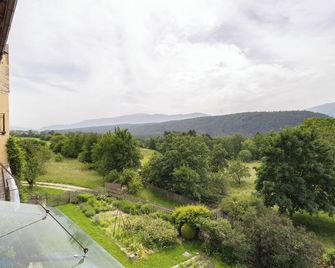Ansitz Baumannhof Apt Mitte - Pfalzen - Balcony