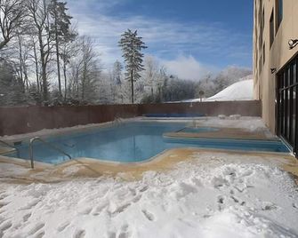 Silver Creek Lodge - Snowshoe - Pool