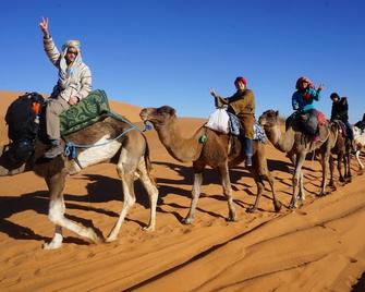 Desert Safari Camp - Merzouga