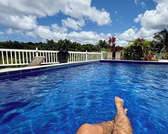 Our villa facing the Caribbean Sea - Choiseul - Piscina