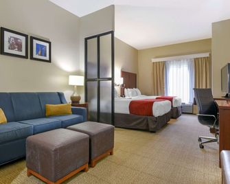 Comfort Suites Fultondale I-65 near I-22 - Fultondale - Slaapkamer