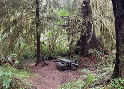 Primitive Tent Site in Enchanted Rain Forest - Site #2 - Forks - Innenhof