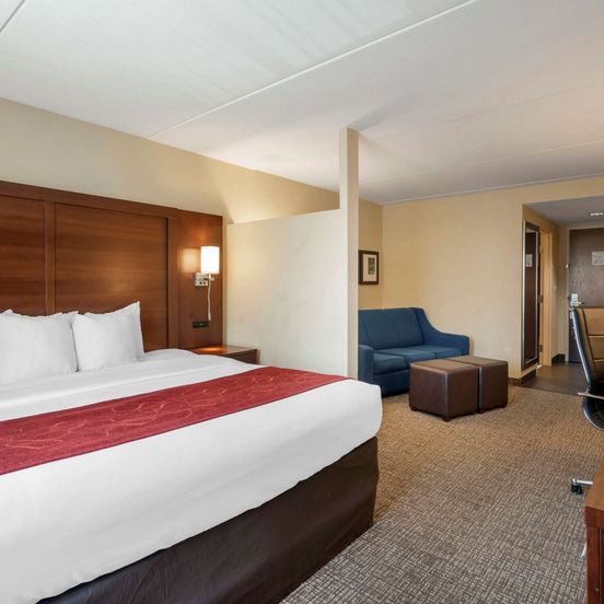 Comfort Suites Fredericksburg North image 1