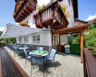 Pension Alba - Špindlerův Mlýn - Patio