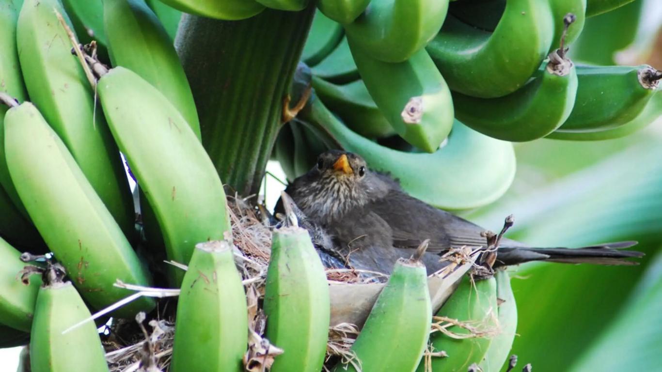 Hotel Marina Village