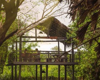 Sigiriya Jungles - Sigiriya