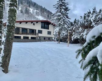 Le Vertbruche - Gîte Avec Superbe Vue Pour 15 Pers - La Bresse - Gebouw