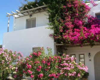 Despina's Mare - Naousa