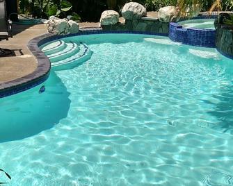 Tropical Home, Heated Pool, Spa, Fire Ring, Fireplace, Central Air, Pool table - Lake Forest - Pool