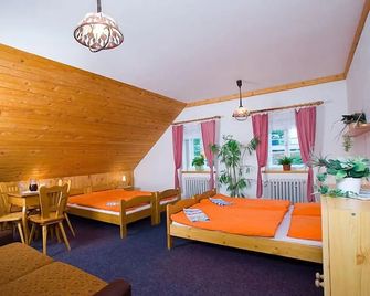 Pension Samohel - Rokytnice nad Jizerou