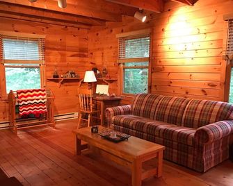 Cozy Cabin with Fireplace, 2 Bedrooms & 2 Queen Size Couch Beds! - Elk Park - Living room